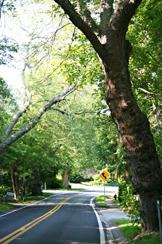 MA Route 6A, Cape Cod, Massachusetts