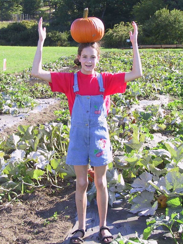 Picking the Perfect Pumpkin, New England