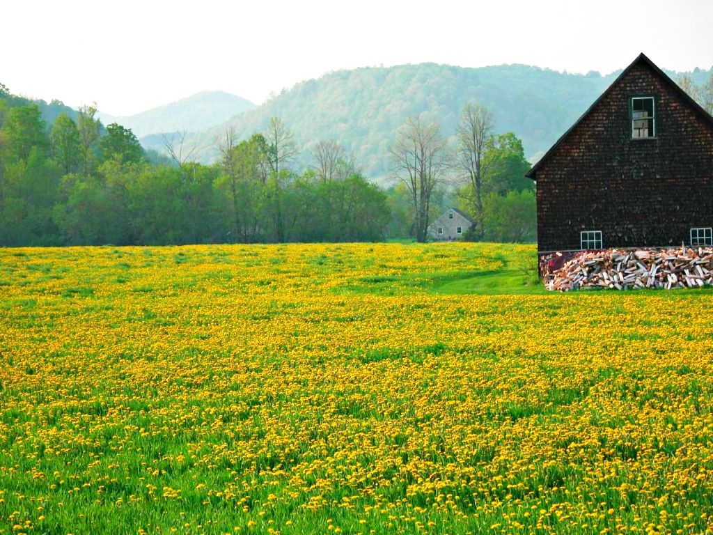 Country views, Central Vermont